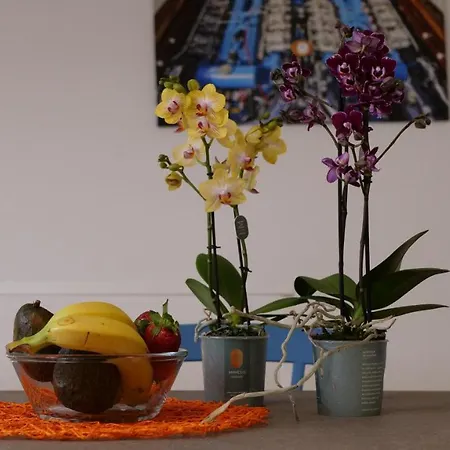La Dolce Apartament